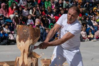 Fotogalería Corte y Colocación Pino Gabarrero en El Espinar 49 Fotografía: Luis Horcajada
