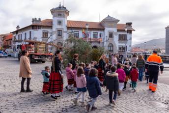 Fotogalería Corte y Colocación Pino Gabarrero en El Espinar 67 Fotografía: Luis Horcajada