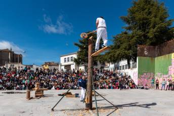 Fotogalería Corte y Colocación Pino Gabarrero en El Espinar 81 Fotografía: Luis Horcajada