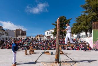 Fotogalería Corte y Colocación Pino Gabarrero en El Espinar 82 Fotografía: Luis Horcajada