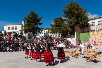 Fotogalería Corte y Colocación Pino Gabarrero en El Espinar 85 Fotografía: Luis Horcajada