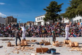 Fotogalería Corte y Colocación Pino Gabarrero en El Espinar 86 Fotografía: Luis Horcajada