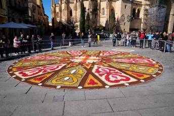 Fotogalería Bendicion de Palmas y Paso de la Borriquilla 34 Fotografía: Miguel Angel Fernández