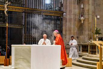 Fotogalería Bendicion de Palmas y Paso de la Borriquilla 58 Fotografía: Miguel Angel Fernández