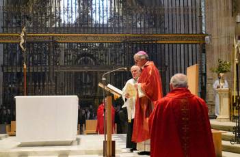Fotogalería Bendicion de Palmas y Paso de la Borriquilla 59 Fotografía: Miguel Angel Fernández