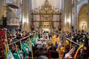 Fotogalería Bendicion de Palmas y Paso de la Borriquilla 9 Fotografía: Miguel Angel Fernández