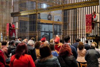 Fotogalería Bendicion de Palmas y Paso de la Borriquilla 14 Fotografía: Miguel Angel Fernández