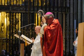 Fotogalería Bendicion de Palmas y Paso de la Borriquilla 22 Fotografía: Miguel Angel Fernández