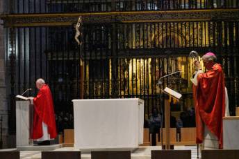 Fotogalería Bendicion de Palmas y Paso de la Borriquilla 26 Fotografía: Miguel Angel Fernández