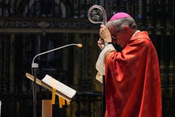 Fotogalería Bendicion de Palmas y Paso de la Borriquilla 63 Fotografía: Miguel Angel Fernández