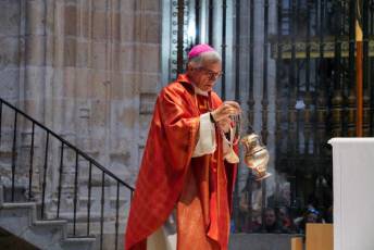 Fotogalería Bendicion de Palmas y Paso de la Borriquilla 5 Fotografía: Miguel Angel Fernández