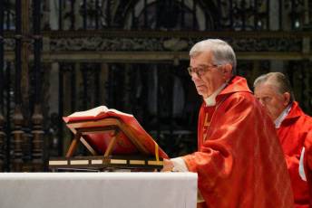 Fotogalería Bendicion de Palmas y Paso de la Borriquilla 35 Fotografía: Miguel Angel Fernández