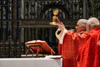 Fotogalería Bendicion de Palmas y Paso de la Borriquilla 8 Fotografía: Miguel Angel Fernández