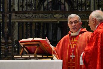 Fotogalería Bendicion de Palmas y Paso de la Borriquilla 49 Fotografía: Miguel Angel Fernández