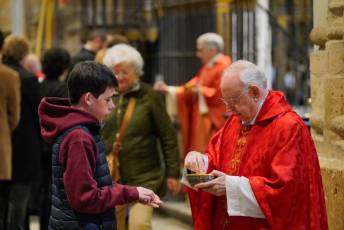 Fotogalería Bendicion de Palmas y Paso de la Borriquilla 51 Fotografía: Miguel Angel Fernández