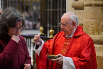 Fotogalería Bendicion de Palmas y Paso de la Borriquilla 62 Fotografía: Miguel Angel Fernández