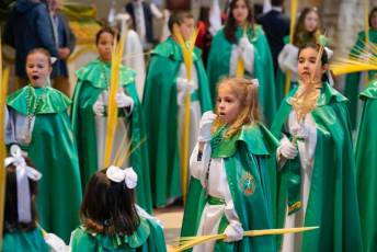 Fotogalería Bendicion de Palmas y Paso de la Borriquilla 27 Fotografía: Miguel Angel Fernández