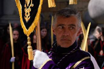 Fotogalería Bendicion de Palmas y Paso de la Borriquilla 53 Fotografía: Miguel Angel Fernández