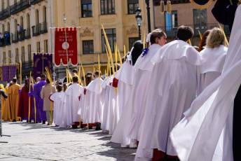 Fotogalería Bendicion de Palmas y Paso de la Borriquilla 50 Fotografía: Miguel Angel Fernández