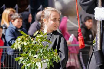 Fotogalería Bendicion de Palmas y Paso de la Borriquilla 76 Fotografía: Miguel Angel Fernández