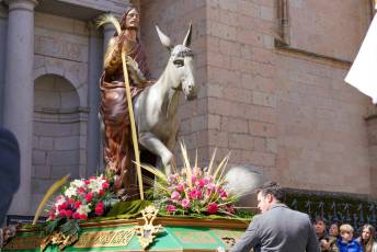 Fotogalería Bendicion de Palmas y Paso de la Borriquilla 20 Fotografía: Miguel Angel Fernández