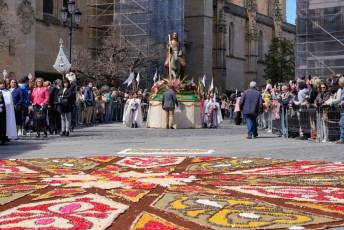 Fotogalería Bendicion de Palmas y Paso de la Borriquilla 38 Fotografía: Miguel Angel Fernández