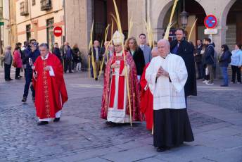 Fotogalería Bendicion de Palmas y Paso de la Borriquilla 52 Fotografía: Miguel Angel Fernández
