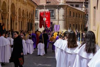 Fotogalería Bendicion de Palmas y Paso de la Borriquilla 66 Fotografía: Miguel Angel Fernández