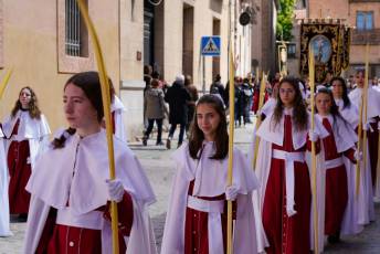 Fotogalería Bendicion de Palmas y Paso de la Borriquilla 45 Fotografía: Miguel Angel Fernández