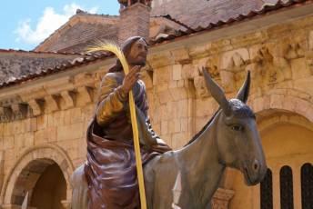 Fotogalería Bendicion de Palmas y Paso de la Borriquilla 23 Fotografía: Miguel Angel Fernández