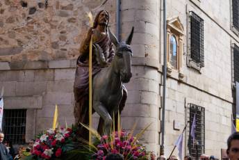 Fotogalería Bendicion de Palmas y Paso de la Borriquilla 54 Fotografía: Miguel Angel Fernández