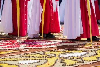 Fotogalería Bendicion de Palmas y Paso de la Borriquilla 36 Fotografía: Miguel Angel Fernández