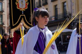 Fotogalería Bendicion de Palmas y Paso de la Borriquilla 21 Fotografía: Miguel Angel Fernández