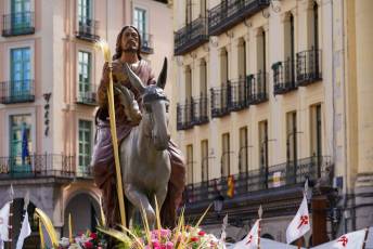 Fotogalería Bendicion de Palmas y Paso de la Borriquilla 37 Fotografía: Miguel Angel Fernández