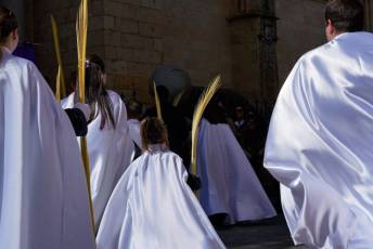 Fotogalería Bendicion de Palmas y Paso de la Borriquilla 15 Fotografía: Miguel Angel Fernández