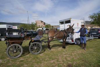 Fotogalería Romería Feria de Abril en Valsaín 11 Fotografía: Miguel Angel Fernández