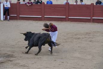 Fotogalería Festival Taurino Feria de Abril en Valsaín 3 Fotografía: Miguel Angel Fernández