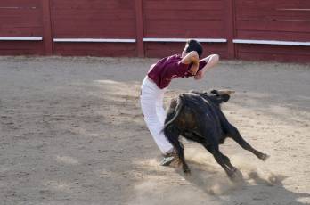 Fotogalería Festival Taurino Feria de Abril en Valsaín 32 Fotografía: Miguel Angel Fernández