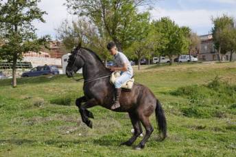 Fotogalería Romería Feria de Abril en Valsaín 19 Fotografía: Miguel Angel Fernández