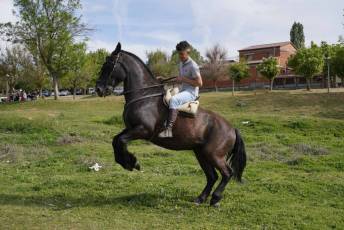 Fotogalería Romería Feria de Abril en Valsaín 36 Fotografía: Miguel Angel Fernández
