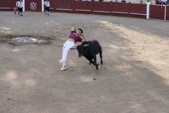 Fotogalería Festival Taurino Feria de Abril en Valsaín 19 Fotografía: Miguel Angel Fernández