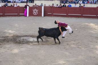 Fotogalería Festival Taurino Feria de Abril en Valsaín 9 Fotografía: Miguel Angel Fernández