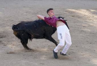 Fotogalería Festival Taurino Feria de Abril en Valsaín 16 Fotografía: Miguel Angel Fernández