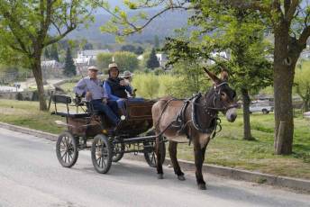 Fotogalería Romería Feria de Abril en Valsaín 59 Fotografía: Miguel Angel Fernández