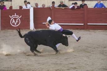 Fotogalería Festival Taurino Feria de Abril en Valsaín 30 Fotografía: Miguel Angel Fernández