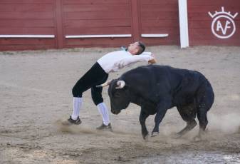Fotogalería Festival Taurino Feria de Abril en Valsaín 2 Fotografía: Miguel Angel Fernández
