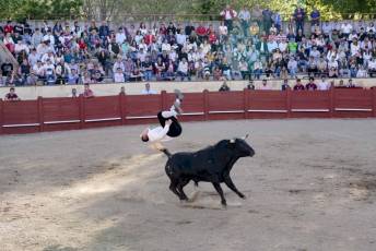 Fotogalería Festival Taurino Feria de Abril en Valsaín 21 Fotografía: Miguel Angel Fernández