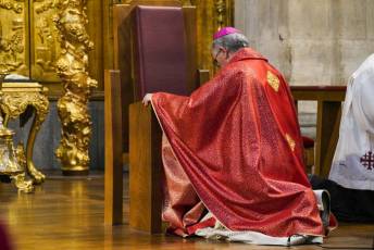 Fotogalería Viernes Santo 25 Fotografía: Miguel Angel Fernández