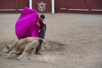 Fotogalería Festival Taurino Feria de Abril en Valsaín 8 Fotografía: Miguel Angel Fernández
