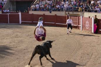 Fotogalería Festival Taurino Feria de Abril en Valsaín 35 Fotografía: Miguel Angel Fernández
